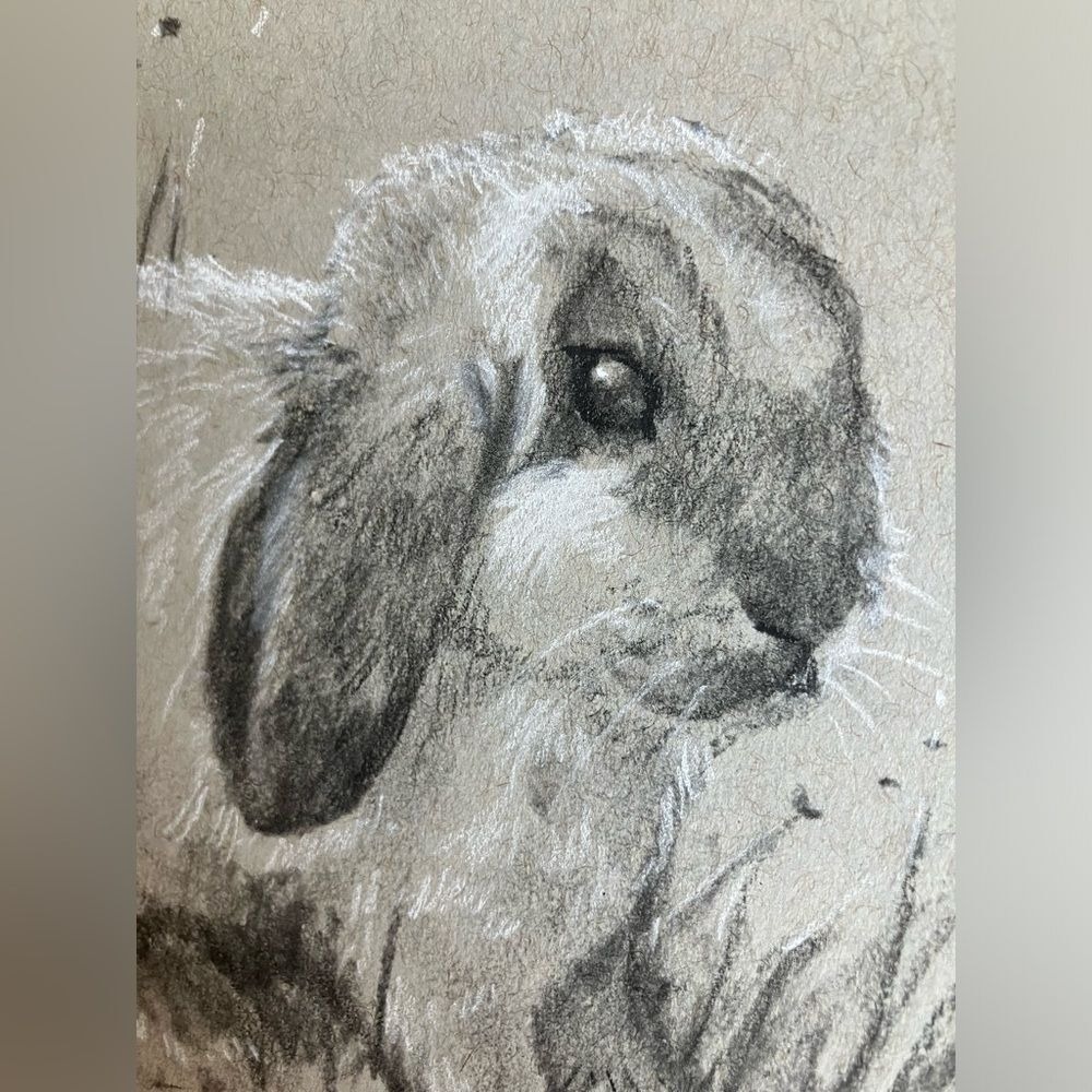 Bunny Original painting Lop rabbit art charcoal pastel animals Artettina USA - Picture 4 of 6